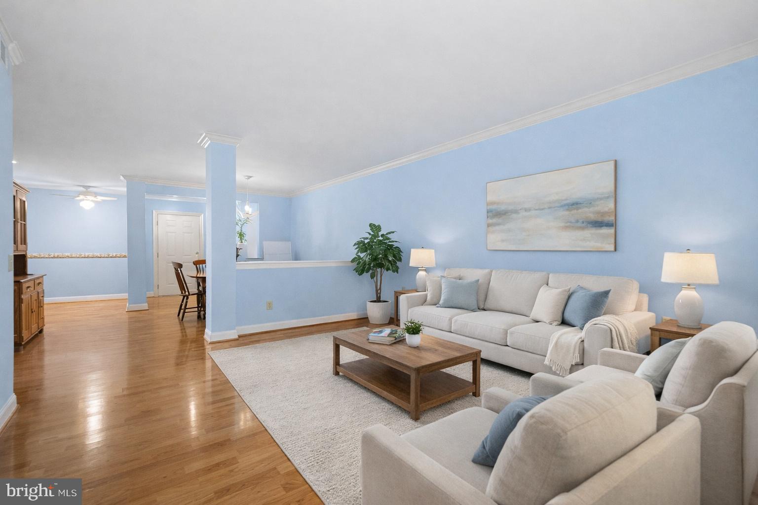 244 BALTIMORE PIKE 131A