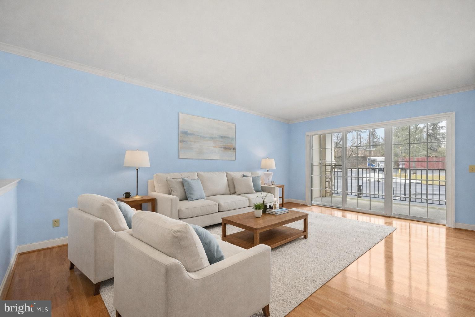 244 BALTIMORE PIKE 131A