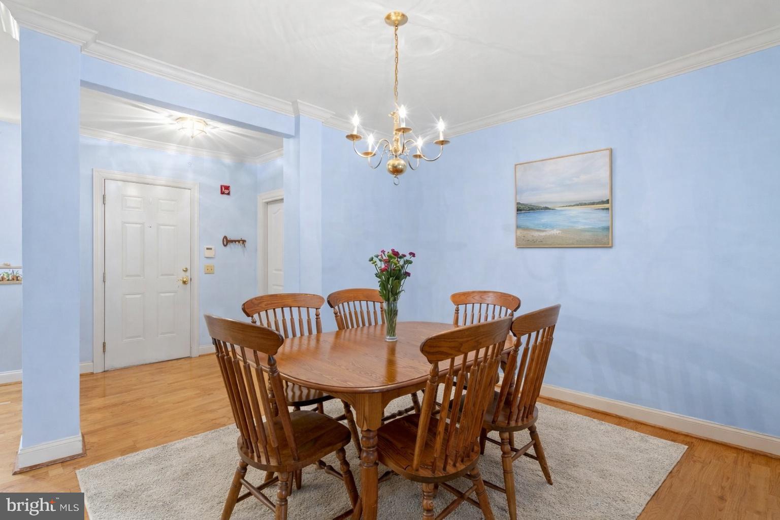 244 BALTIMORE PIKE 131A