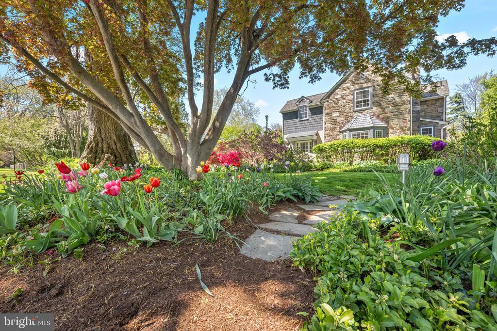 19 DERWEN ROAD
