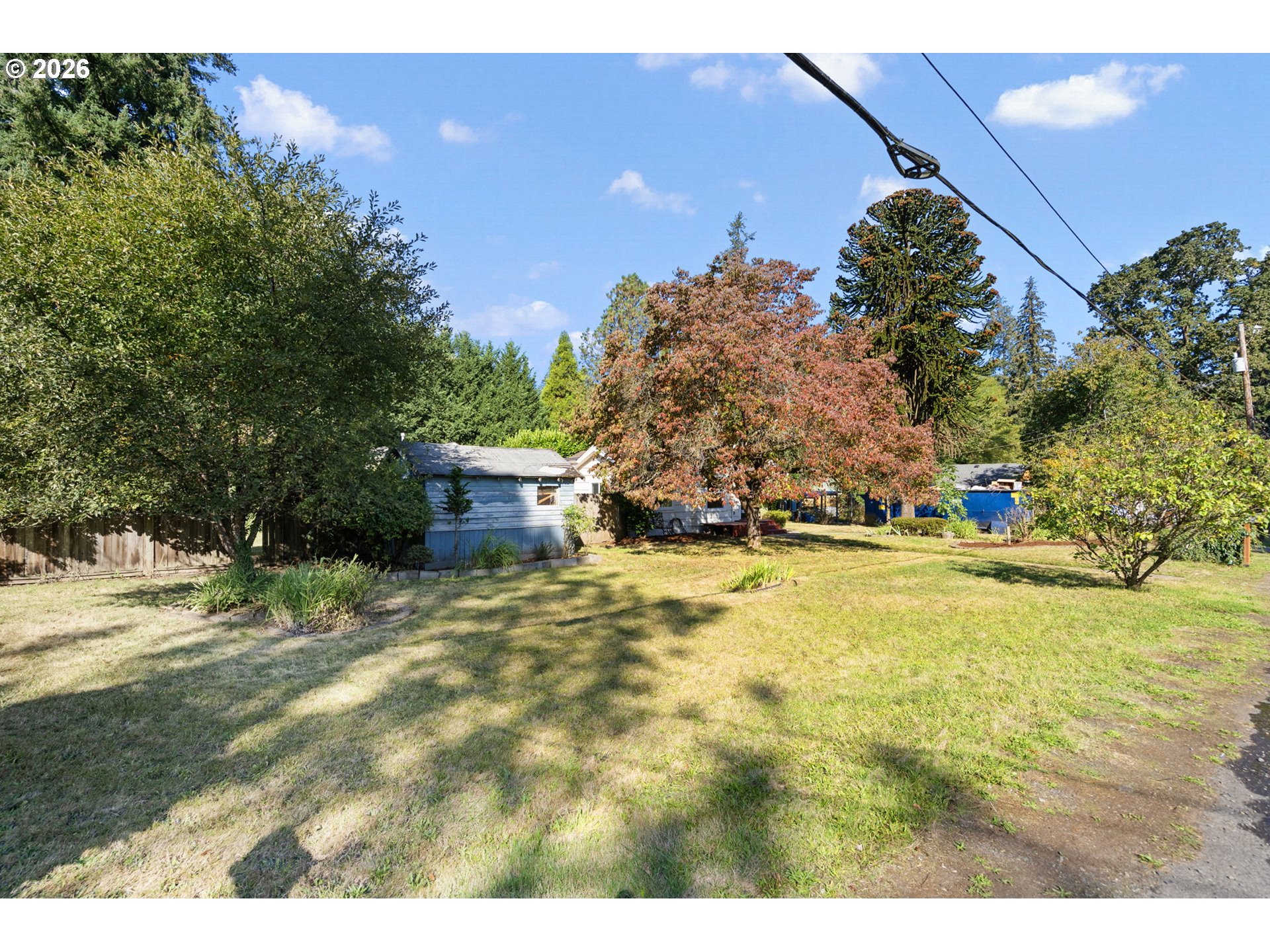 Backyard lawn with mature autumn trees and a small blue-gray outbuilding.