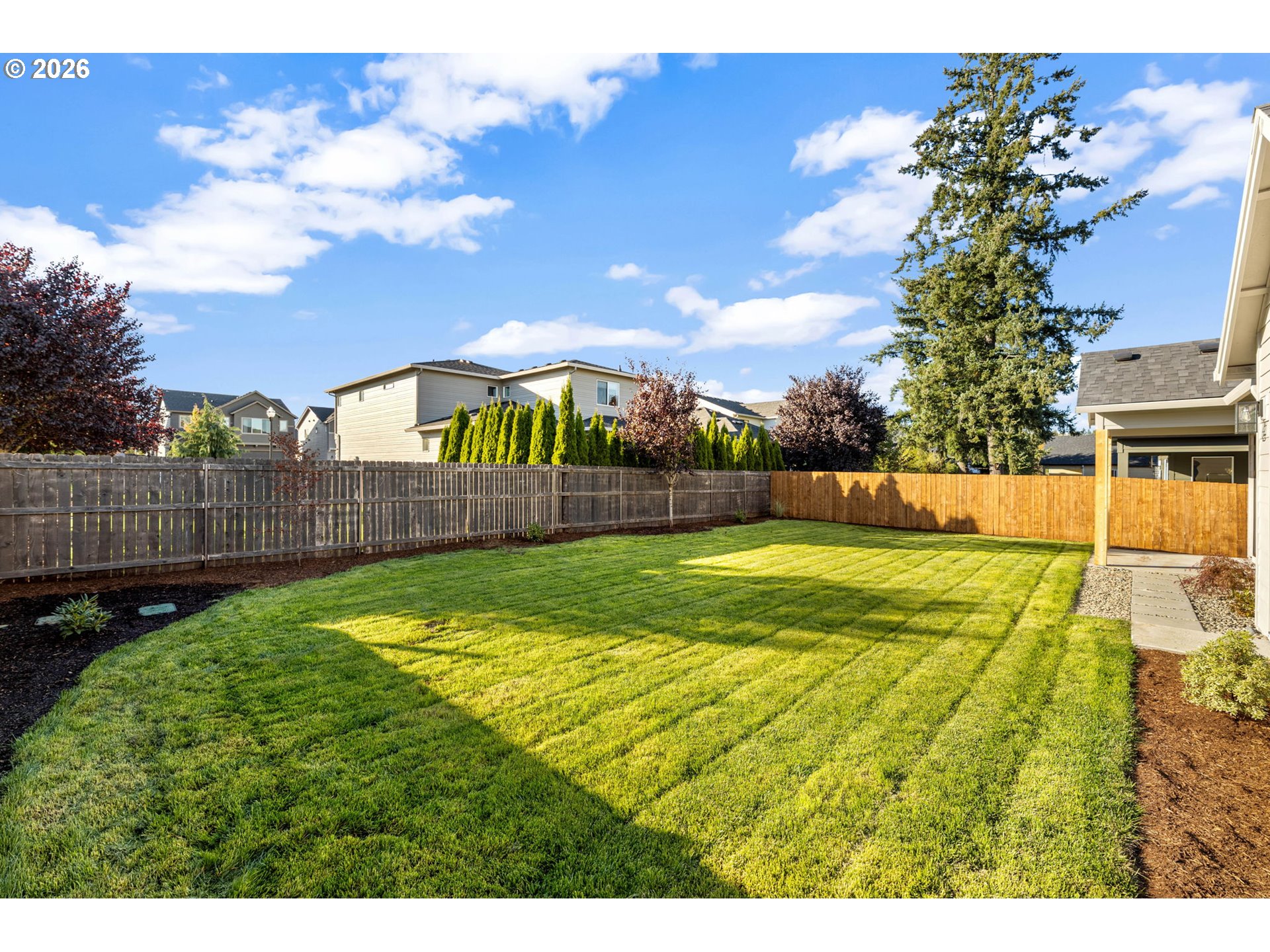 Fenced backyard with a broad lawn, tall evergreen, and covered patio.