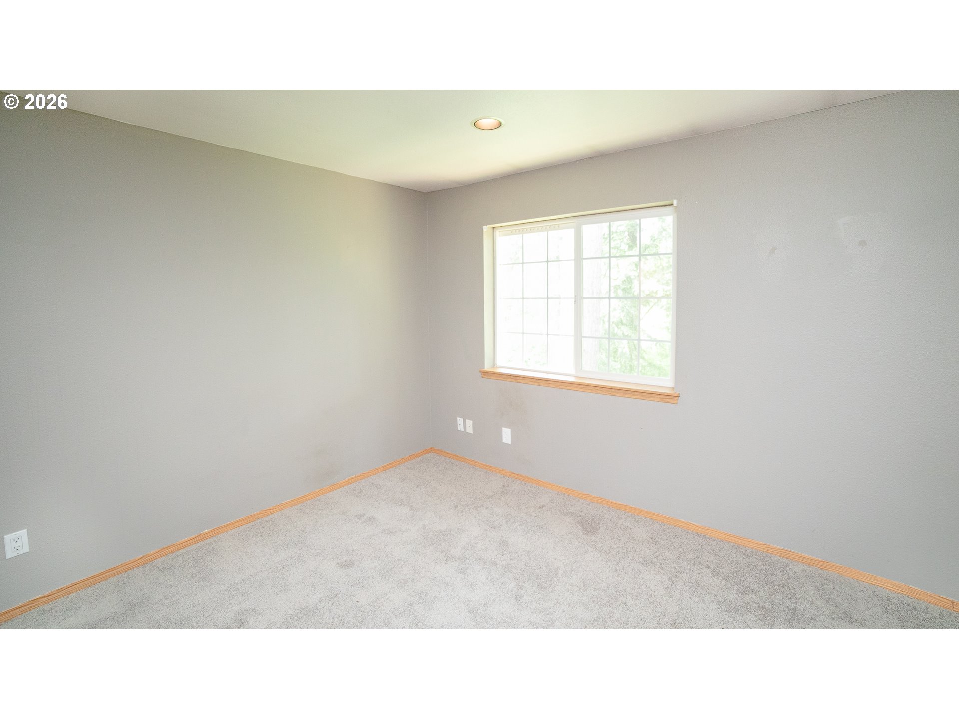Empty carpeted room with gray walls, wood trim, and a large divided-pane window.
