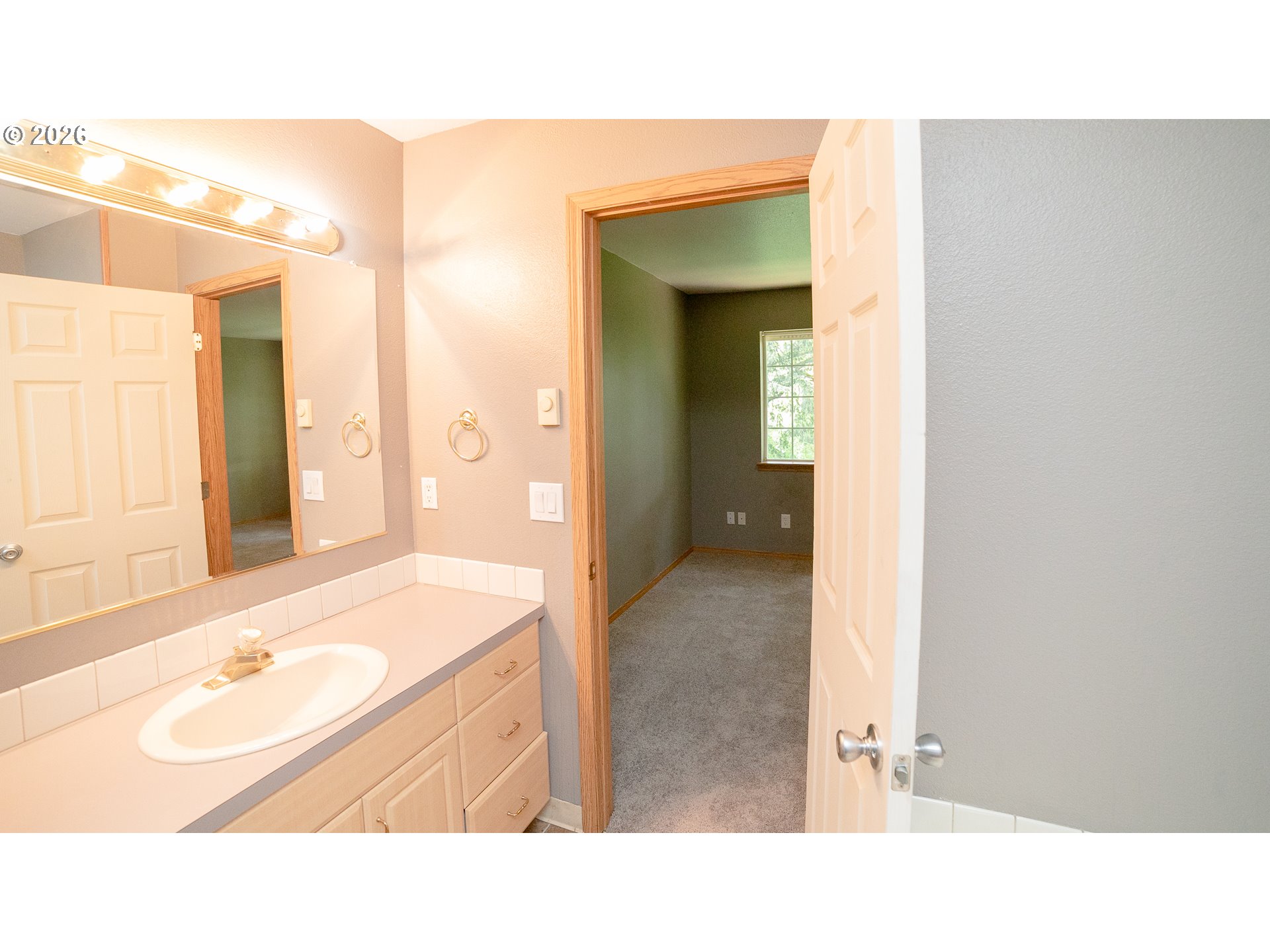 Bathroom vanity and sink beside an open doorway to an empty carpeted room.