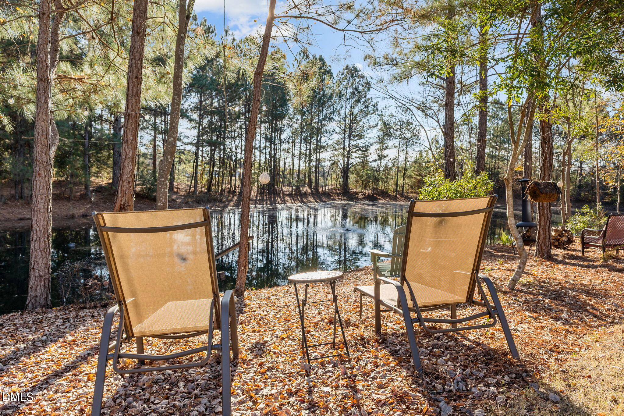 1008 Joe Collins Road