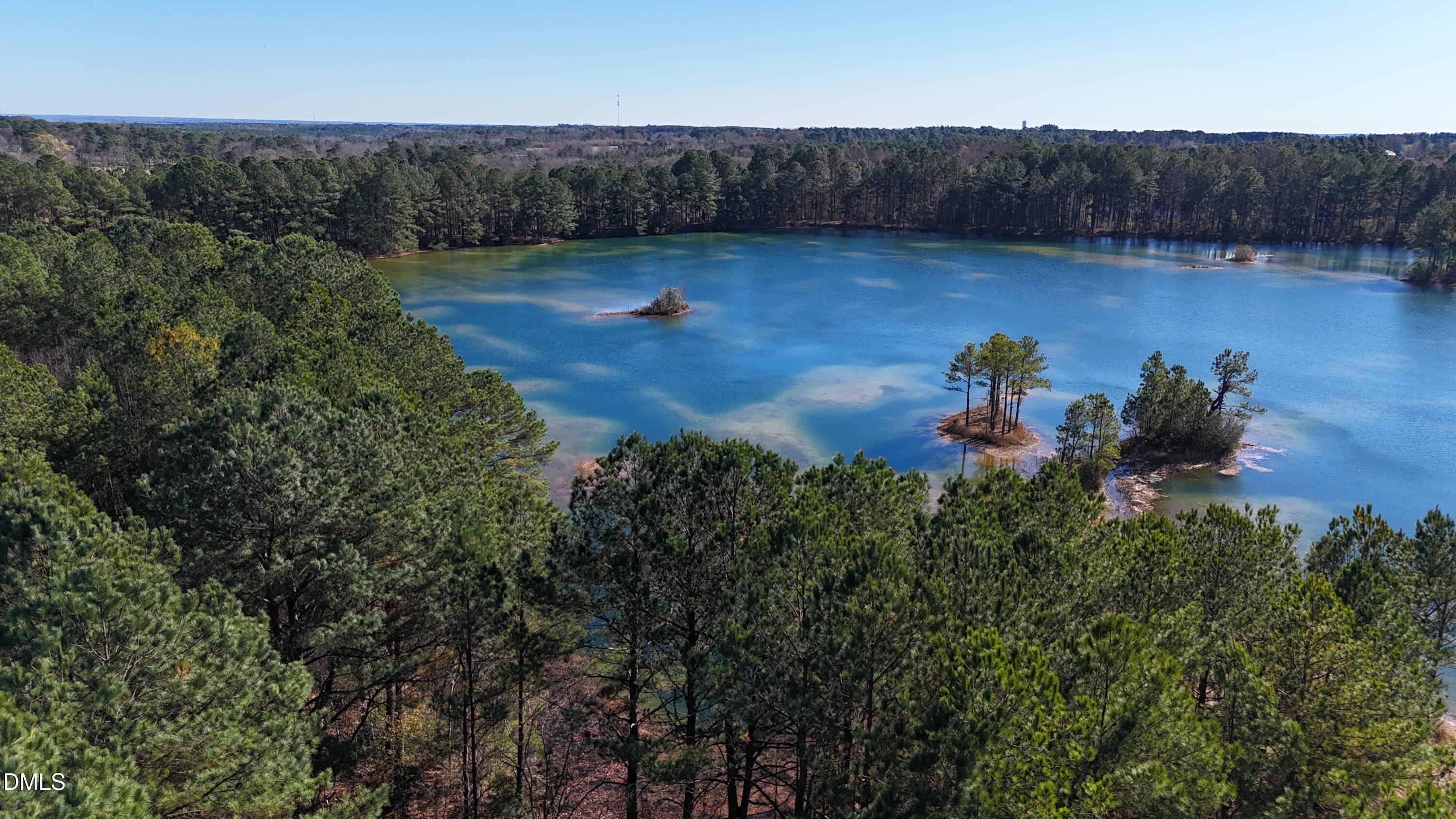 1008 Joe Collins Road