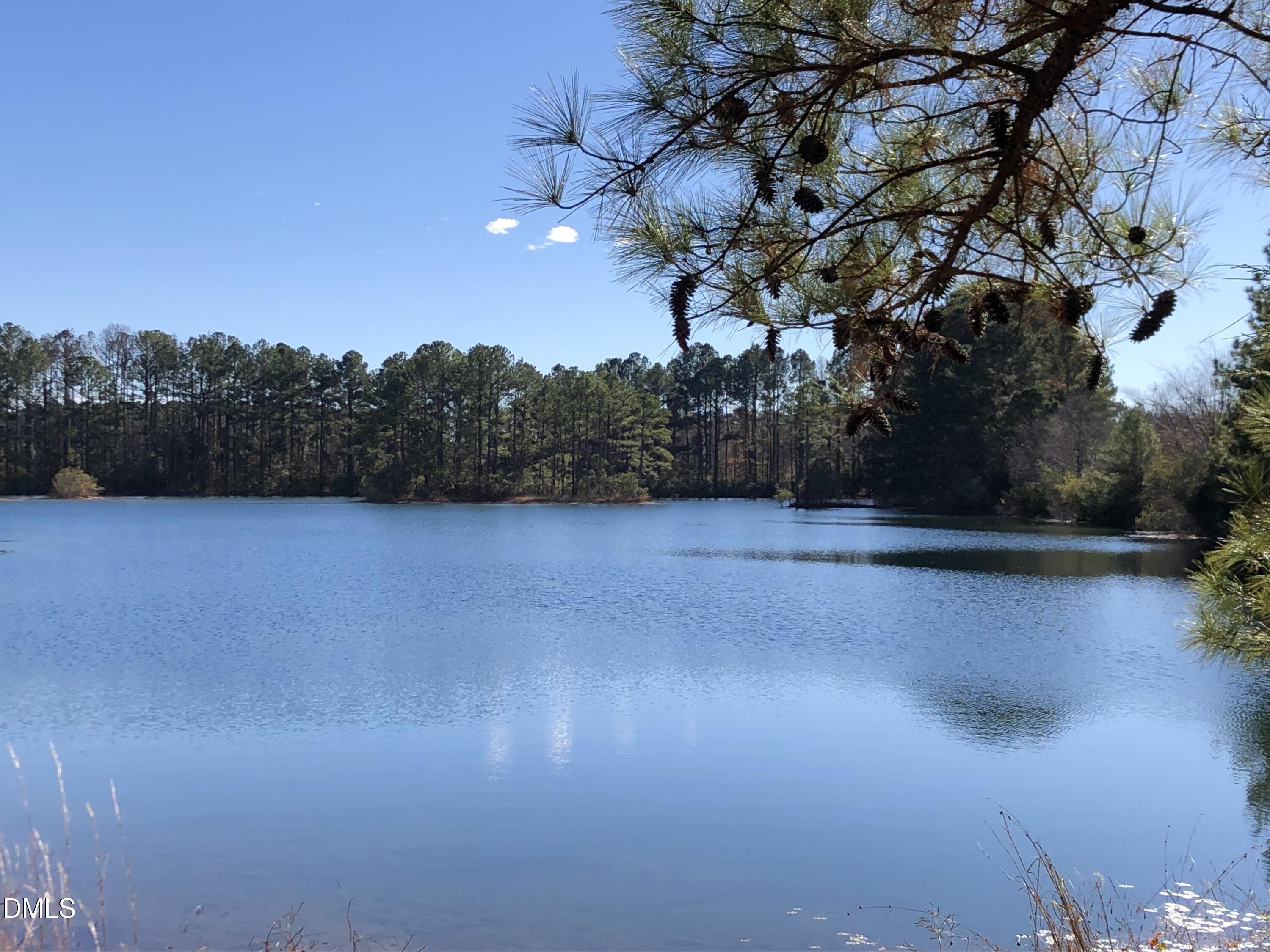 1008 Joe Collins Road