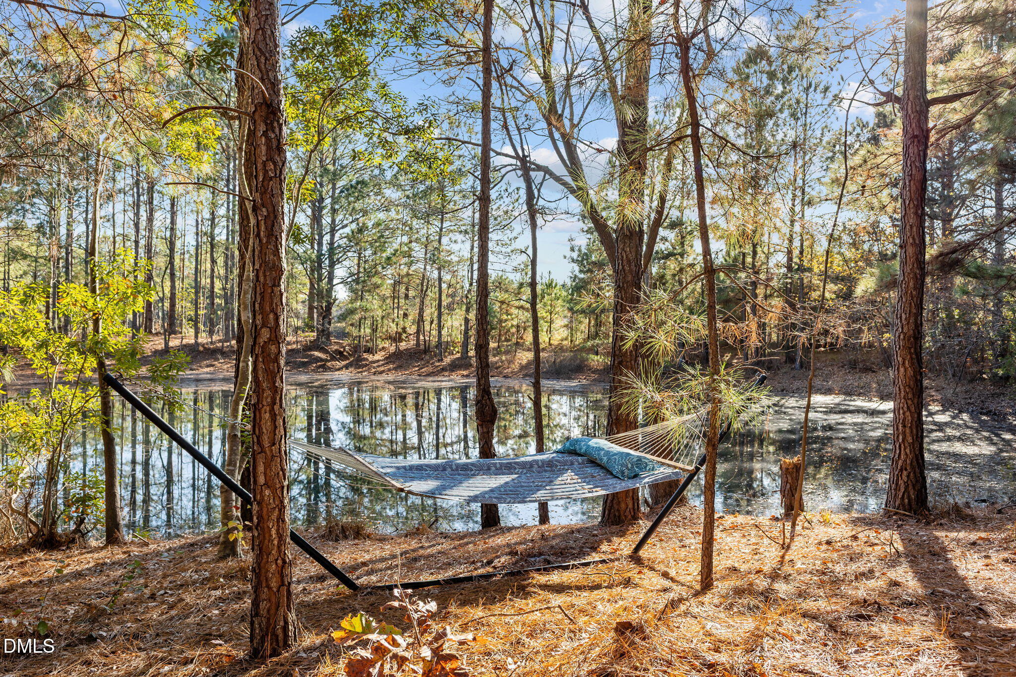 1008 Joe Collins Road