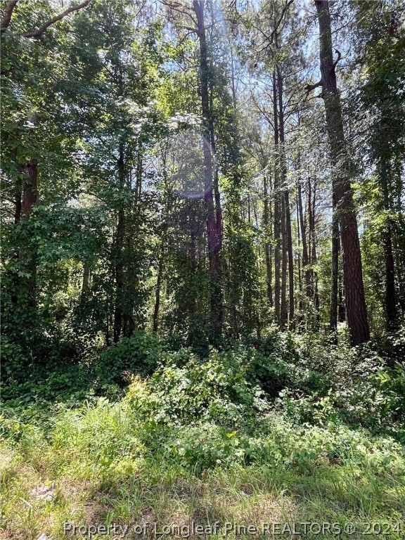 Horseshoe Bend Road