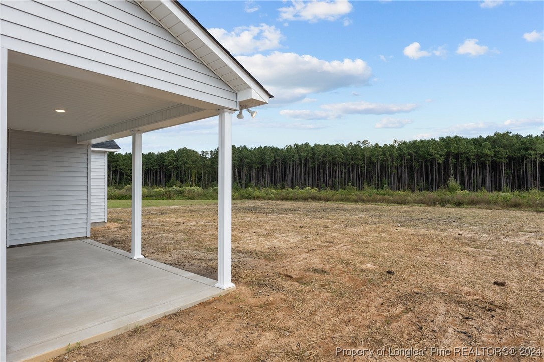 224 Orchard Lane