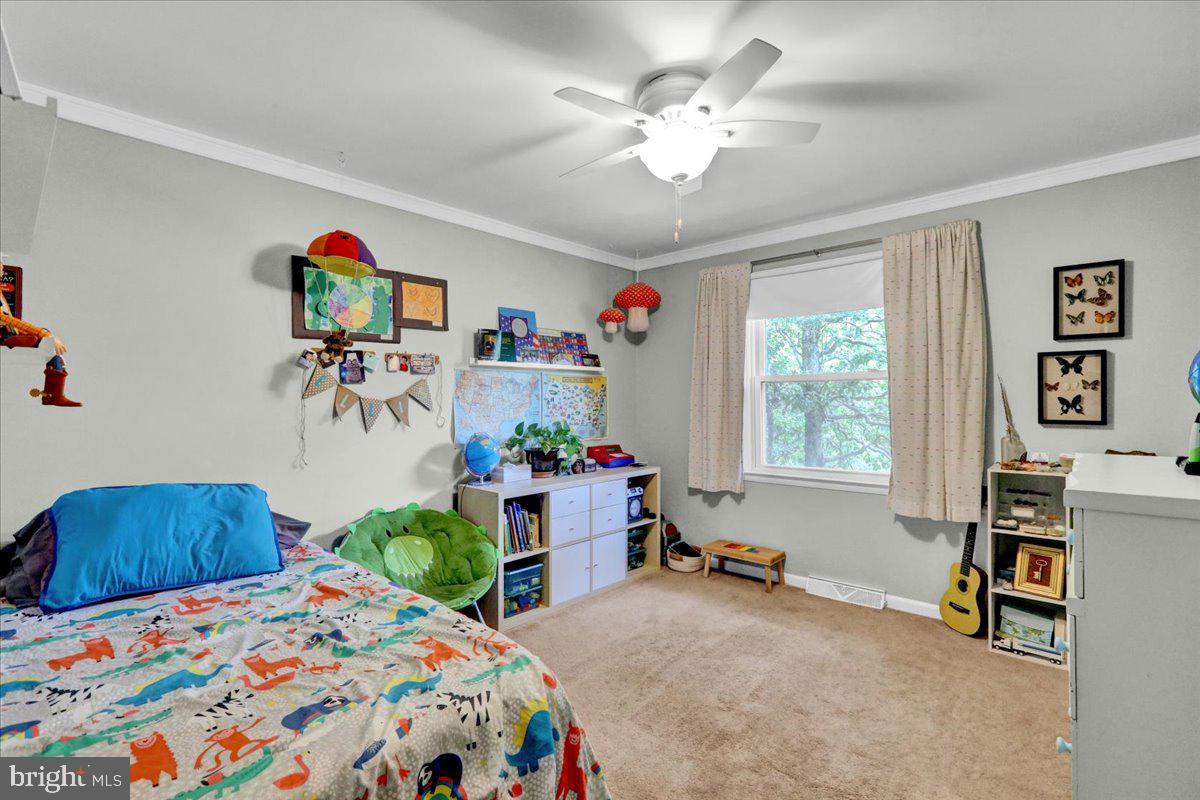 5 Lori Ct