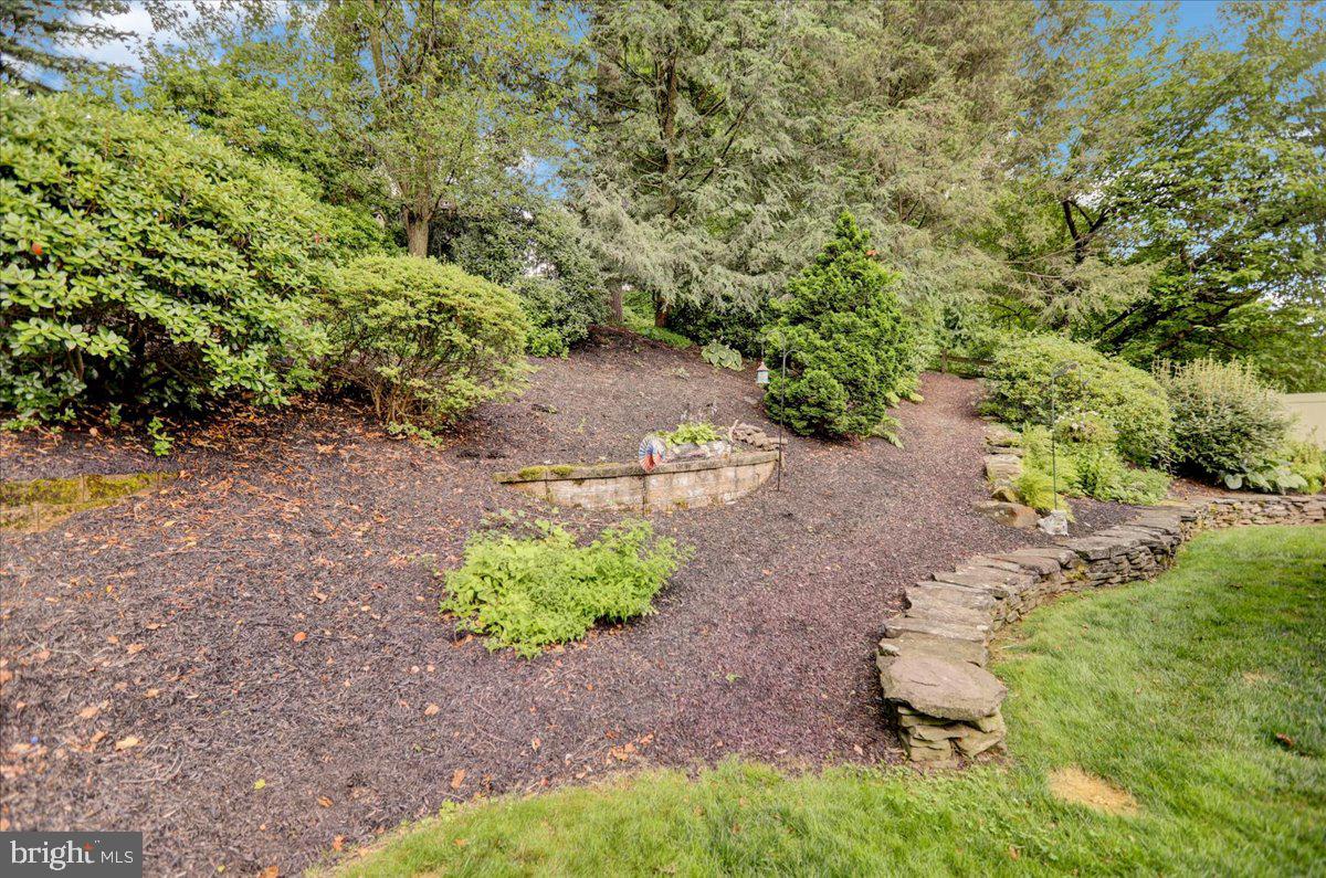 586 Wolfe Ln