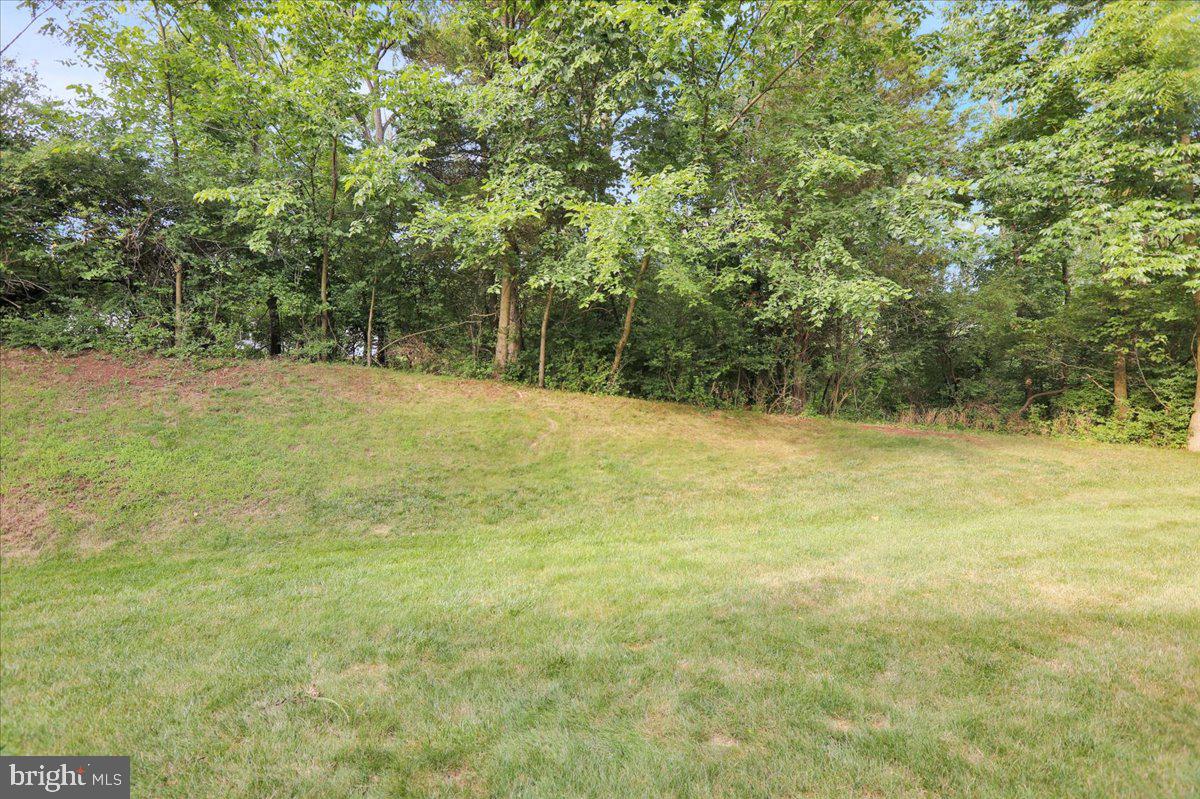 137 Wellington Ct