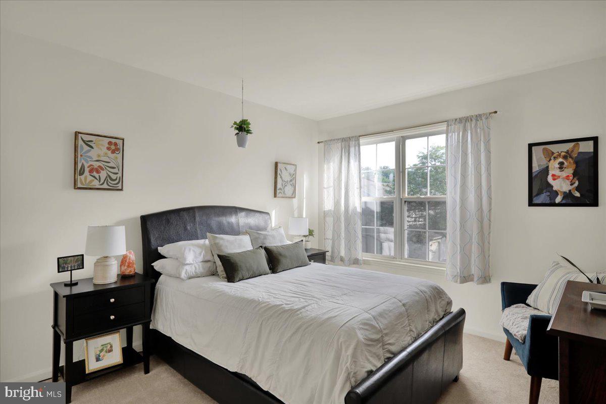 137 Wellington Ct