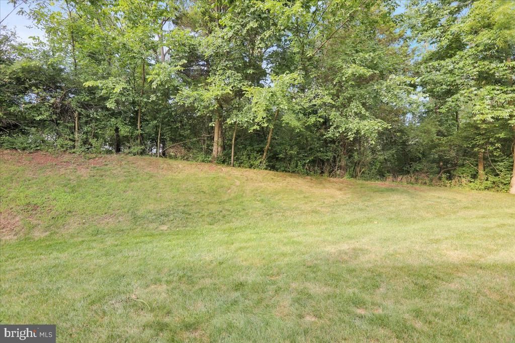 137 Wellington Ct