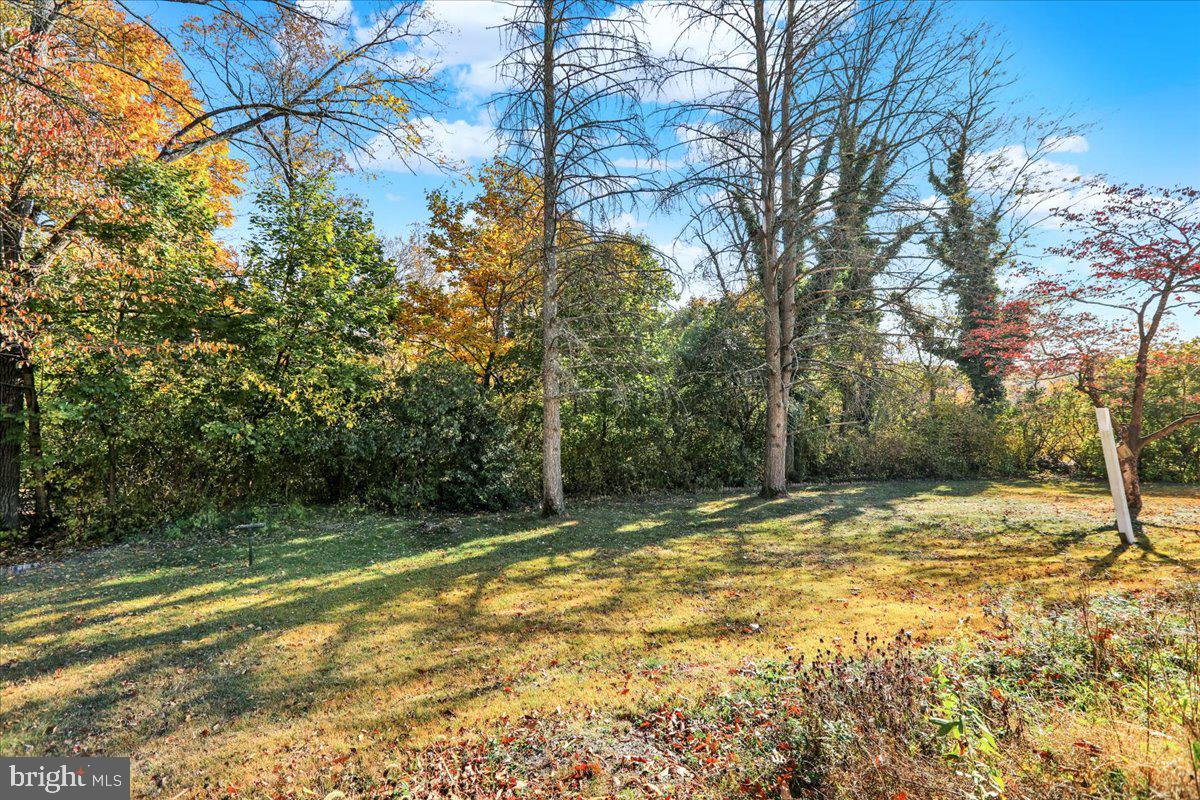 103 Cascades Ln