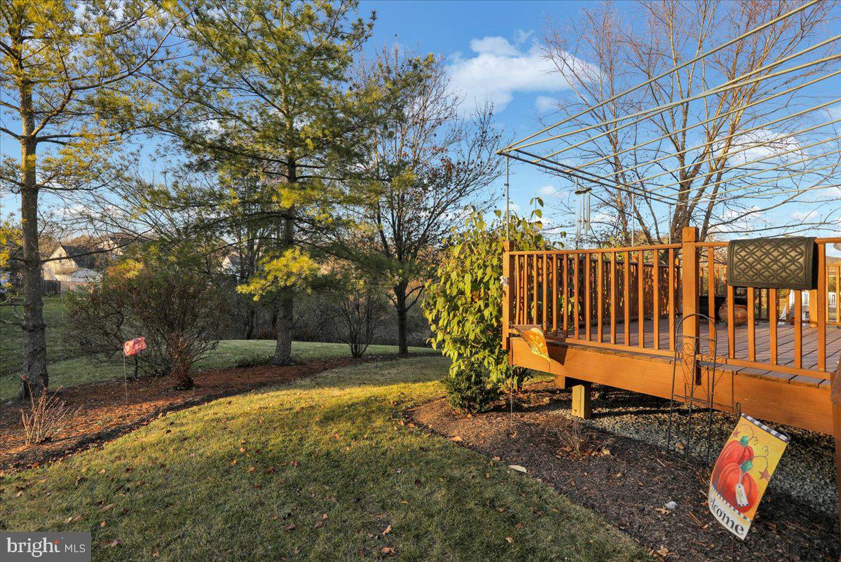 20 BOWES LN
