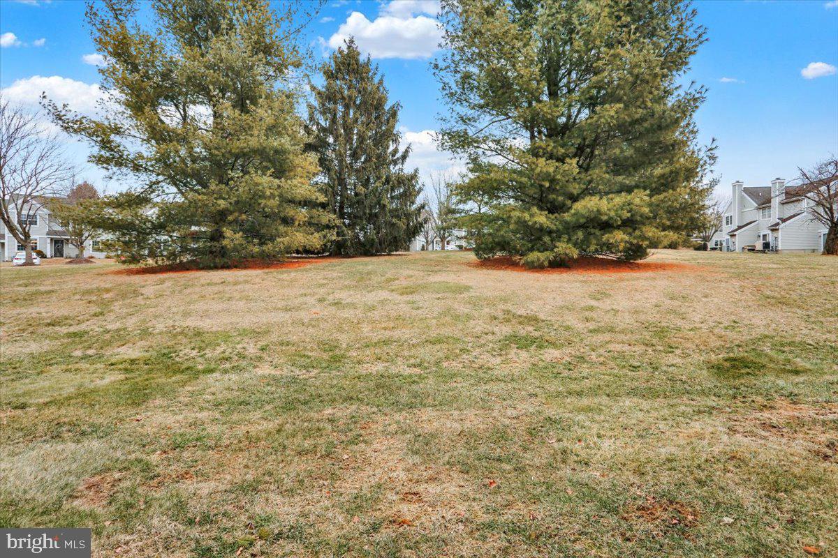 139 Laurel Ct