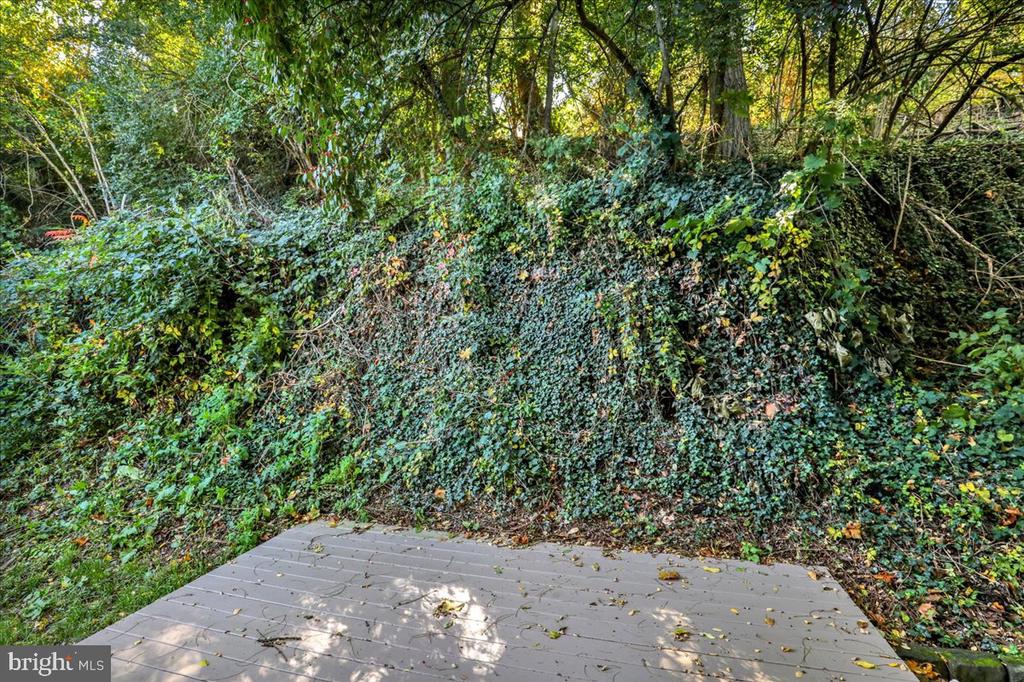 2 MOHNTON LAWN COURT