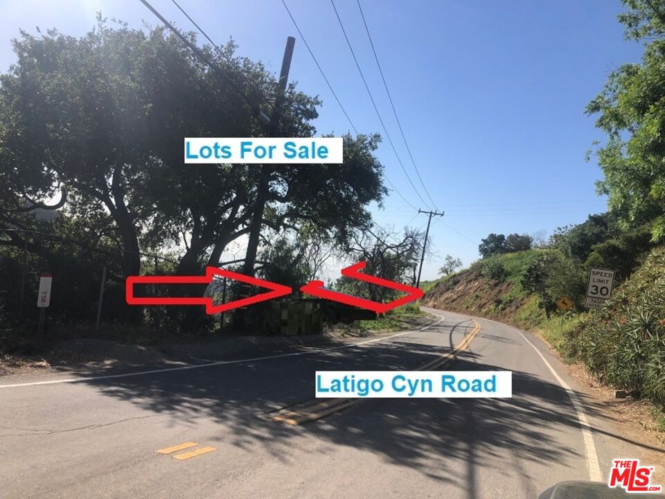 4218 Latigo CYN