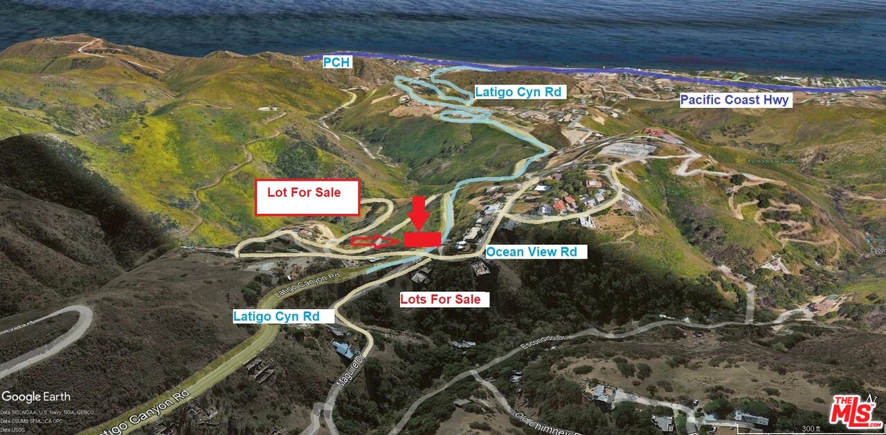 4218 Latigo CYN