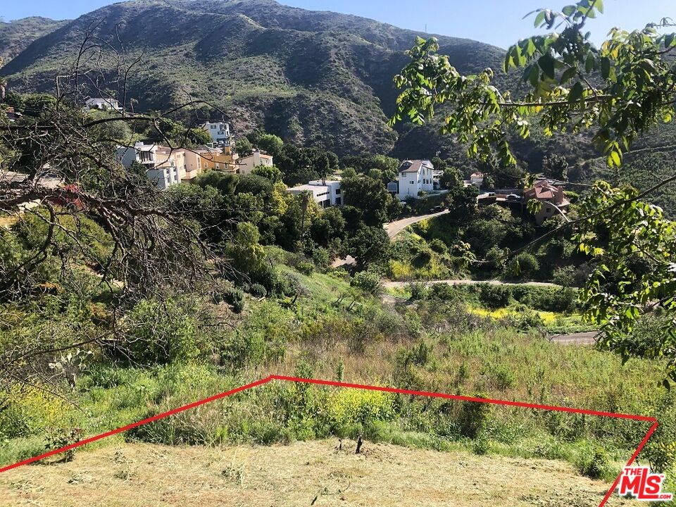 4218 Latigo CYN