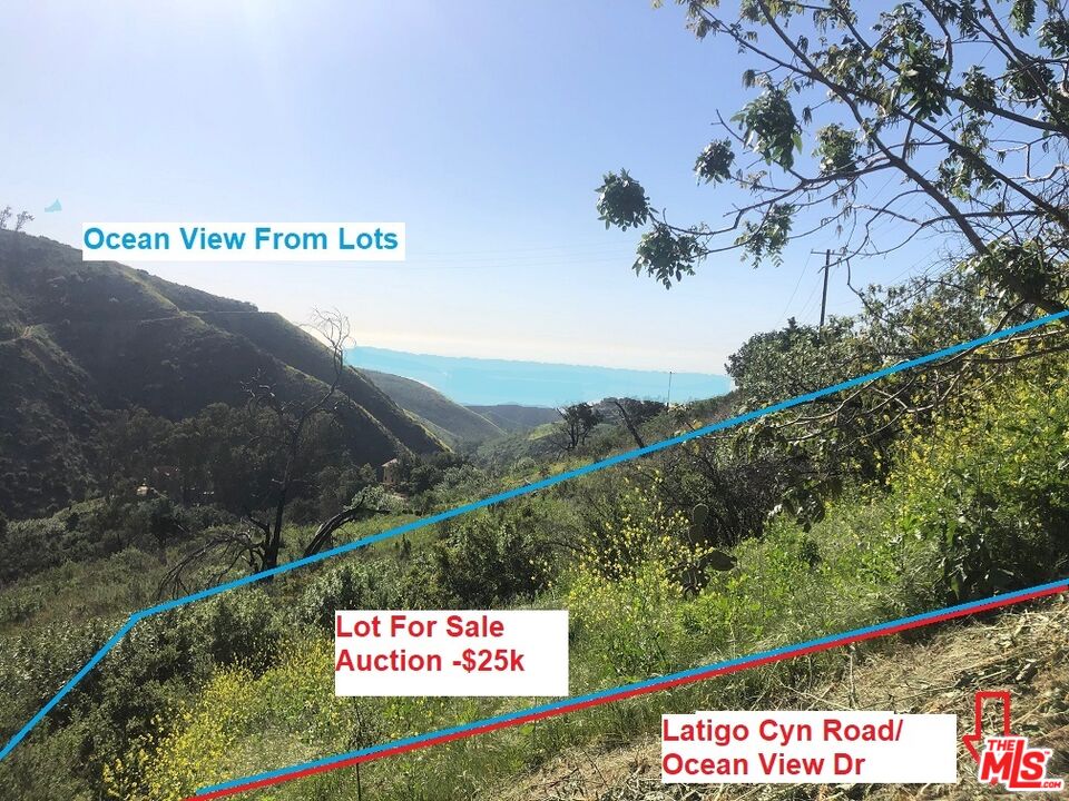 4218 Latigo CYN