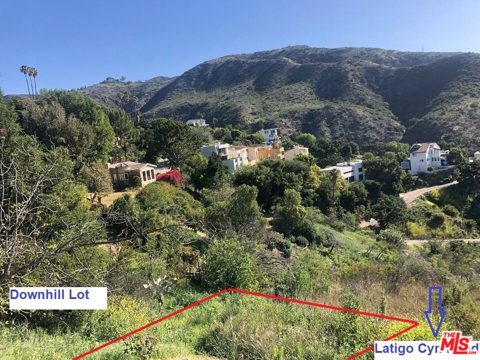 4218 Latigo CYN