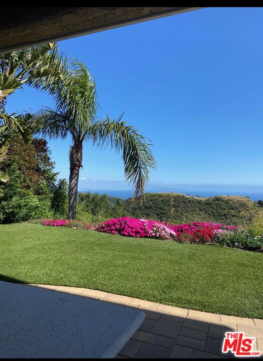 23308 W Paloma Blanca Dr