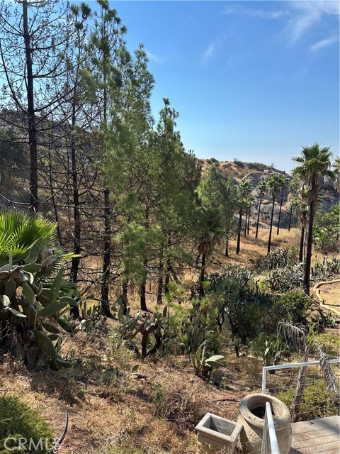 24764 W Saddle Peak RD