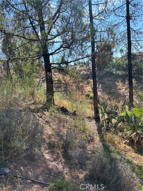 24764 W Saddle Peak RD