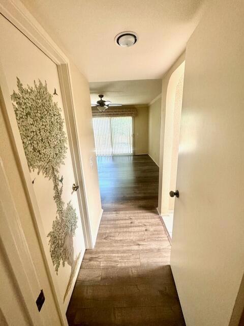 44249 Portofino Court