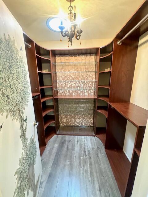 44249 Portofino Court