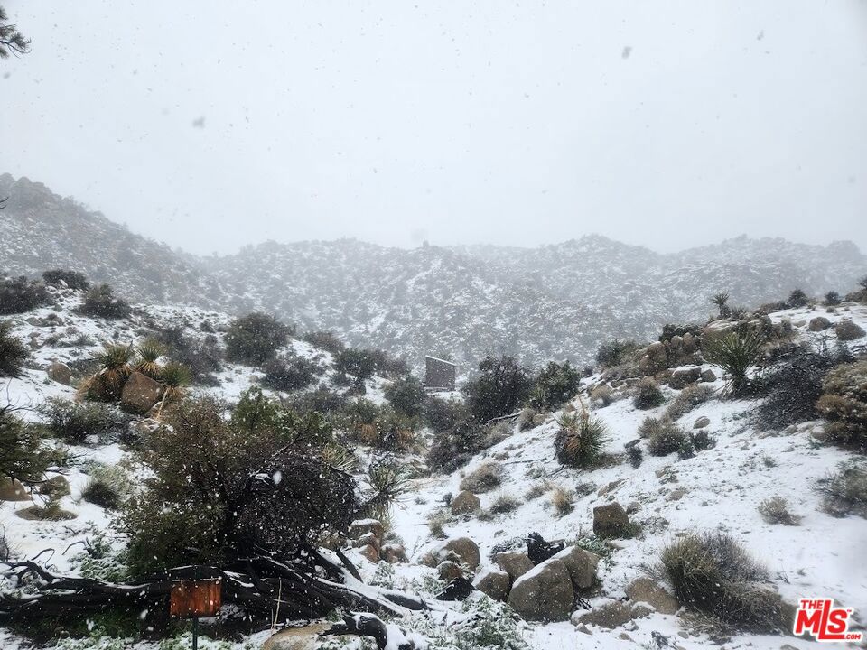 6260 W Omega Trail