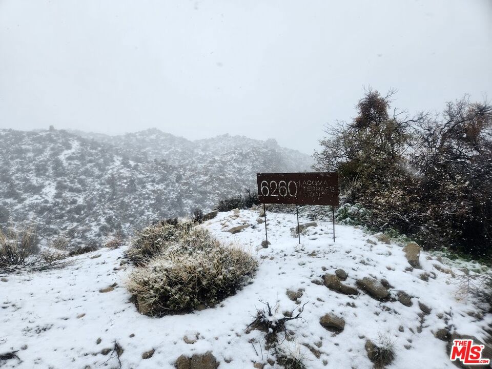 6260 W Omega Trail