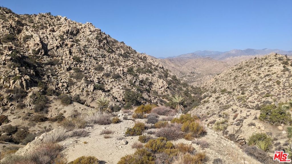 6260 W Omega Trail