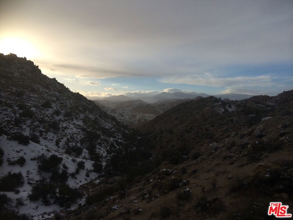 6260 W Omega Trail