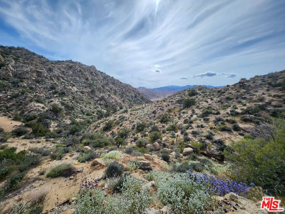 6260 W Omega Trail