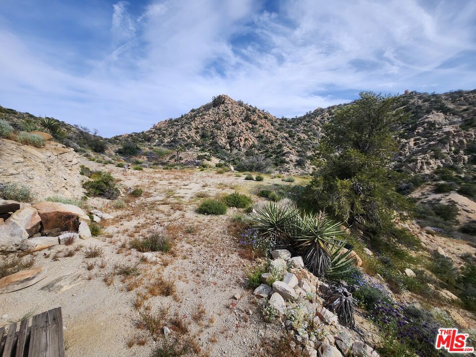 6260 W Omega Trail