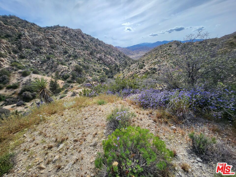 6260 W Omega Trail