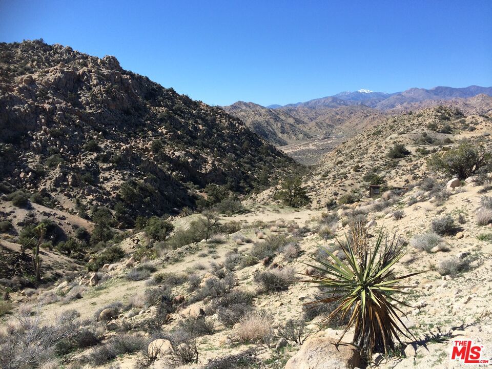 6260 W Omega Trail