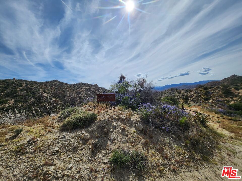 6260 W Omega Trail