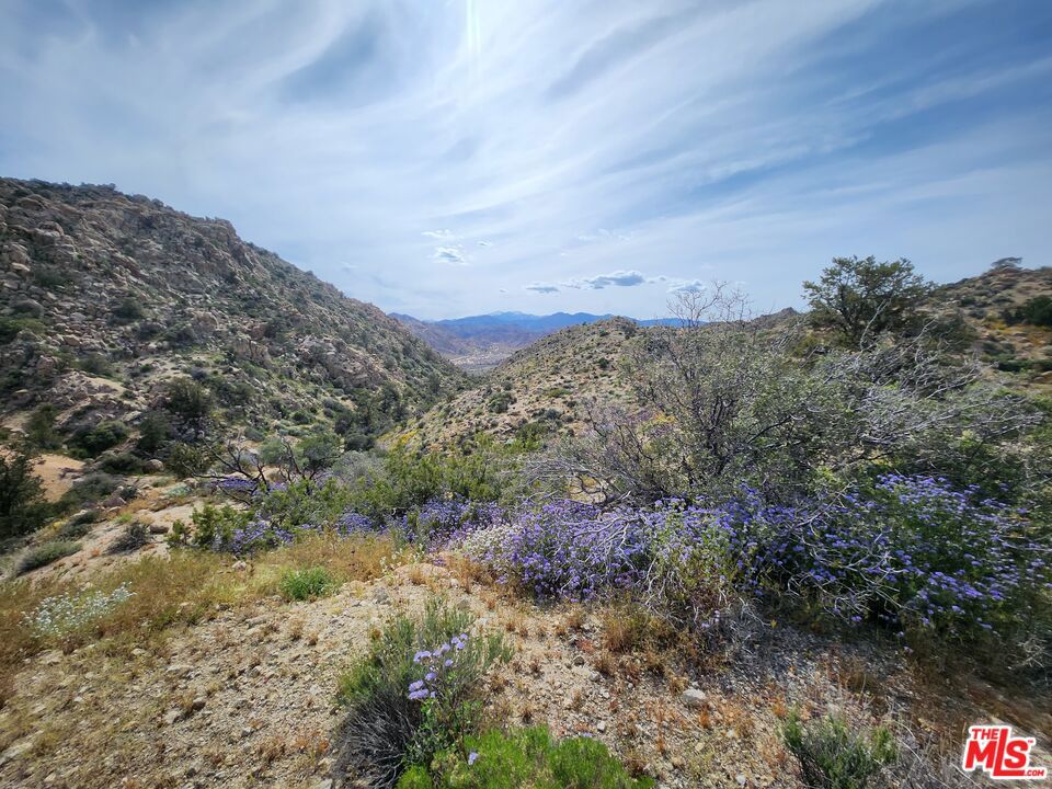 6260 W Omega Trail