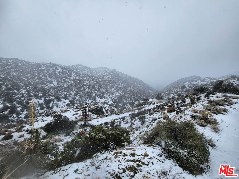 6260 W Omega Trail