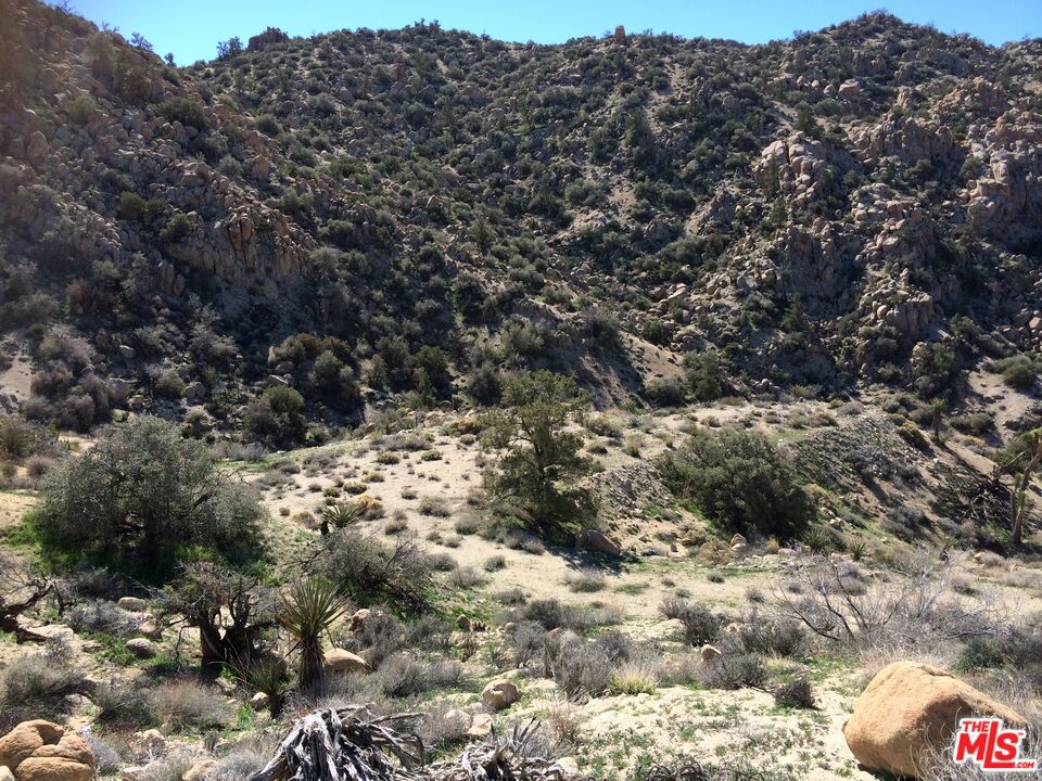 6260 W Omega Trail