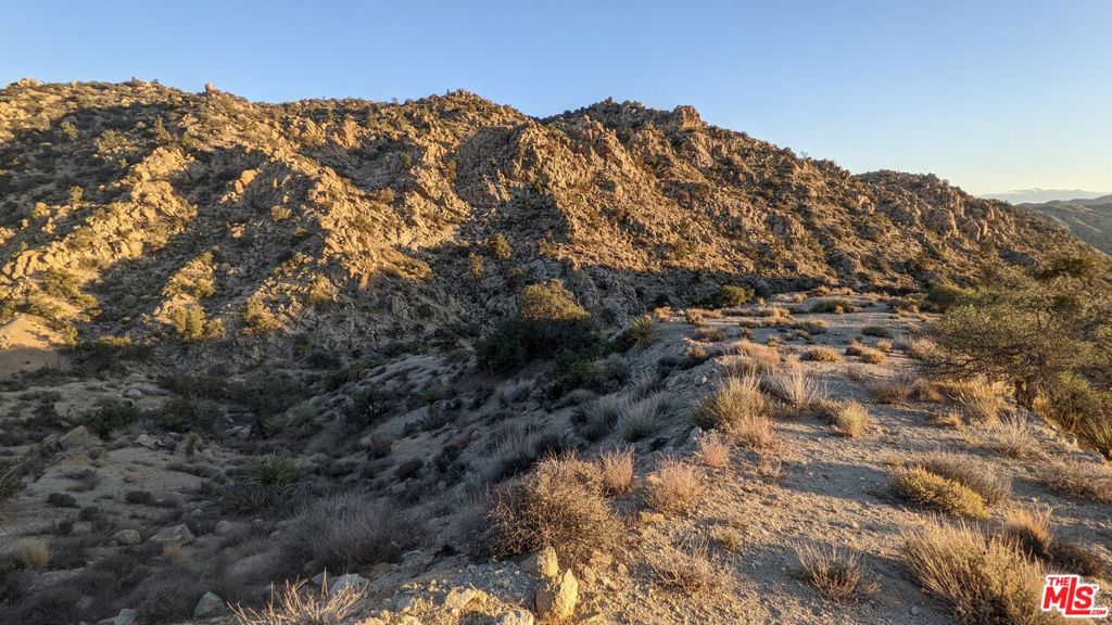 10 W Omega Trail