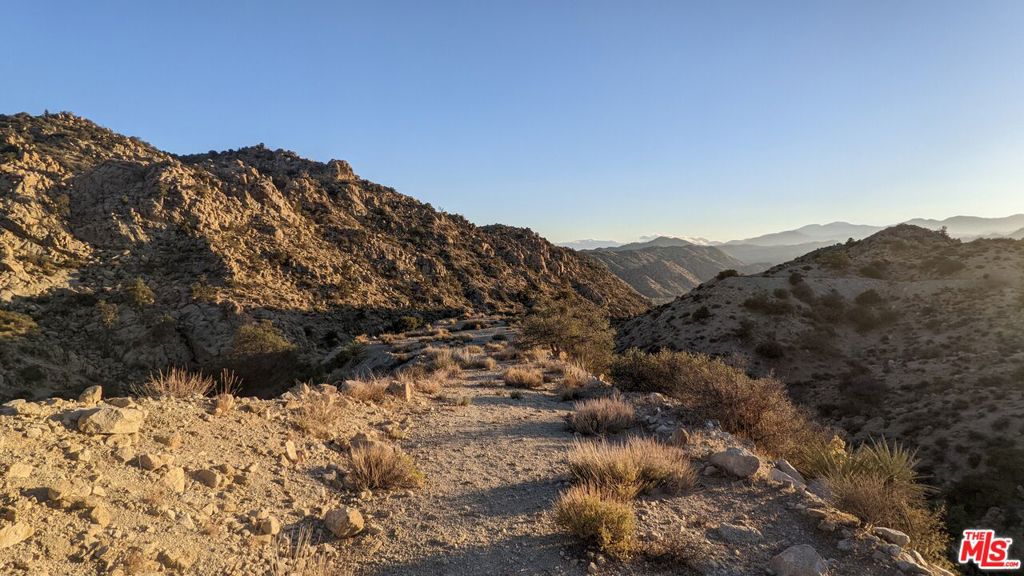 10 W Omega Trail