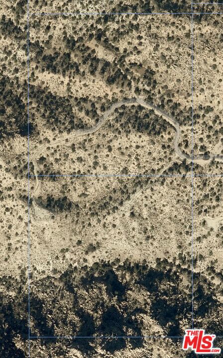10 W Omega Trail