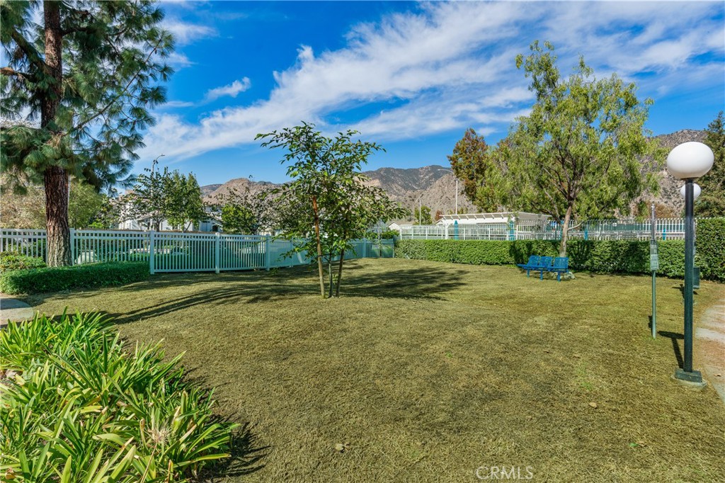 215 Spruce Court
