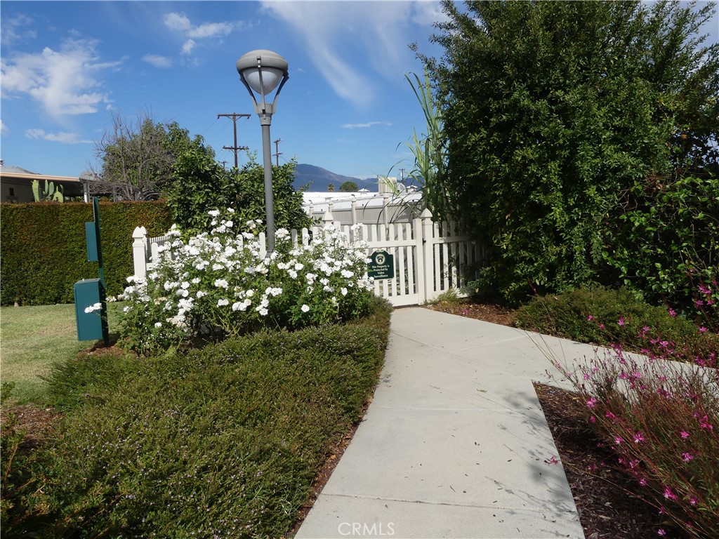 4800 Daleview Avenue 157